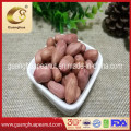 Best Quality Peanut Kernels with Skin